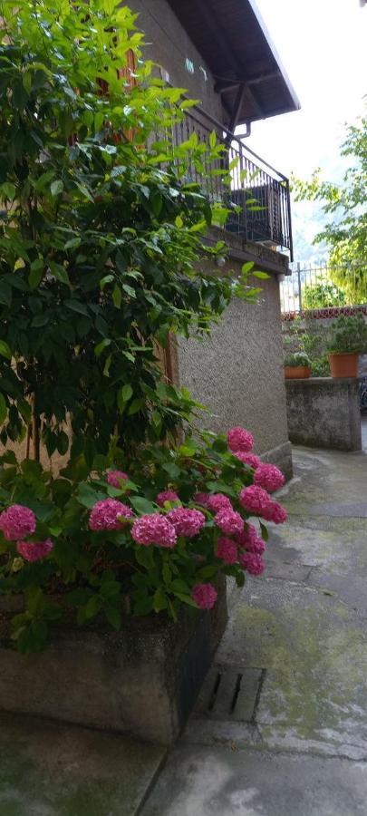 La Casetta Di Vassena Oliveto Lario Ngoại thất bức ảnh